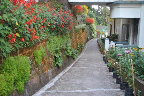 Central Gleneagles Heritage Resort(Former Bungalow of Ex-TATA Chairman Russi Mody), Tha Mall Road - 정원
