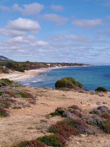 Apartment in Santa Margherita di Pula 48219 in Santa Margherita di Pula