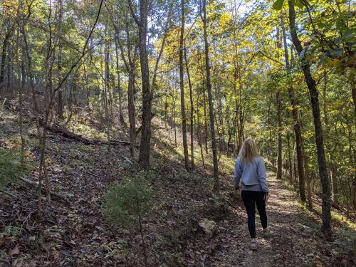 Loblolly Pines Adventure 2016 Airstream 22ft Bambi in Eureka Springs, USA