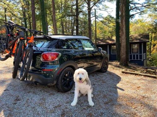 Loblolly Pines Adventure Cabin 2 King - image 12