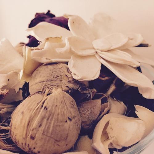 Hotel Fiorenza - image 12