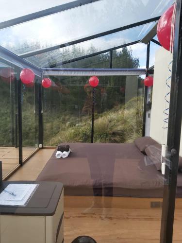 Instalaciones, Cotopaxglam in Latacunga