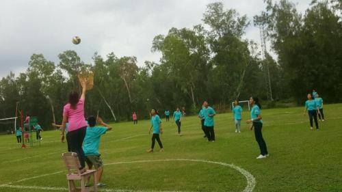 The Pine Resort The Pine Resort