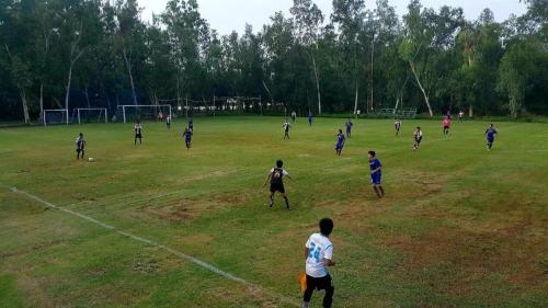 The Pine Resort The Pine Resort