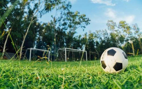 The Pine Resort The Pine Resort