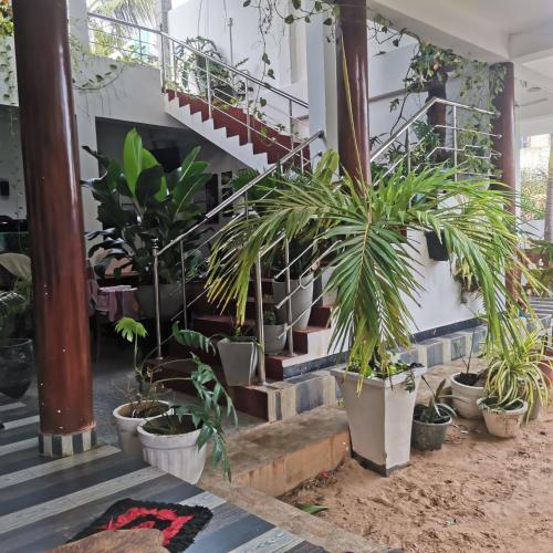 Garden, Surf reef beach in Trincomalee