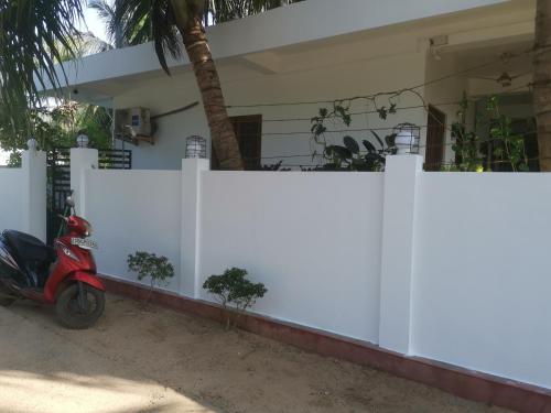 Surf reef beach - image 5