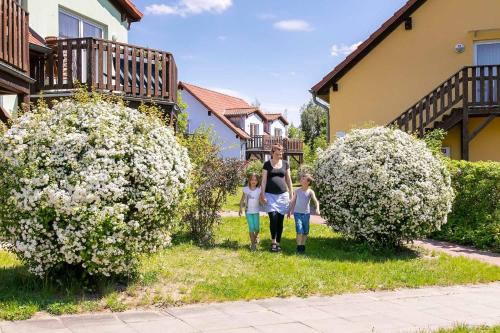 Müritzparadies - Feriendorf 