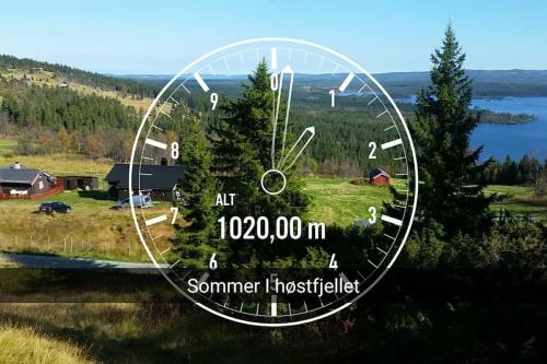 Hytte på fjellet, med mange turmuligheter ! (Hytte pa fjellet, med mange turmuligheter !) in Gol