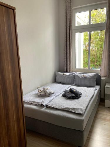 Ferienwohnung 4 Rosenbogen - Familienwohnung mit Wintergarten und Terrasse - image 4