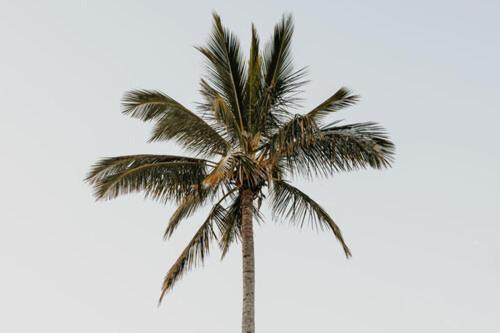 2 Bedroom Unit Mooloolaba- Walk to the Beach 2 Bedroom Unit Mooloolaba- Walk to the Beach