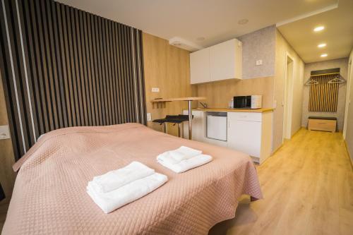 Vilnius Tiny apartments in 澤姆納爾長者