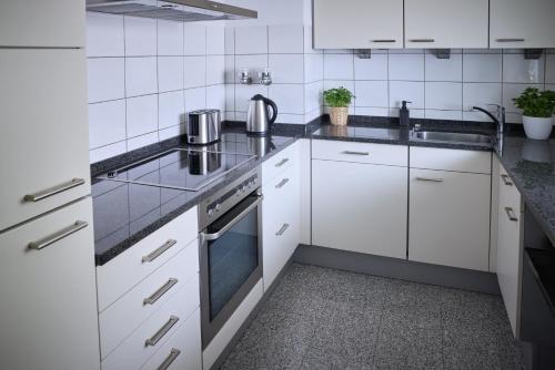 NIRO I Design Penthouse Apartment, Elegant, Gemütlich, Dachterrasse, TV in Weinheim, Deutschland