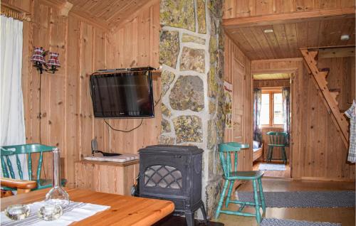 Awesome Home In Rauland With Kitchen in Edlandsgrend