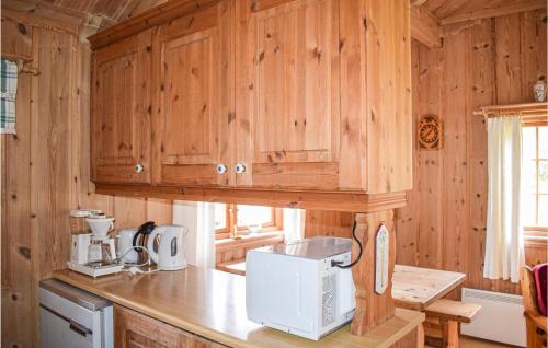 virtuve, Awesome Home In Rauland With Kitchen in Edlandsgrend