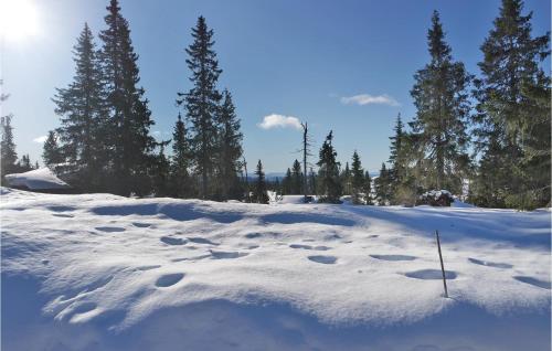 Exterior view, Cozy Home In Sjusjøen in Sjusjoen