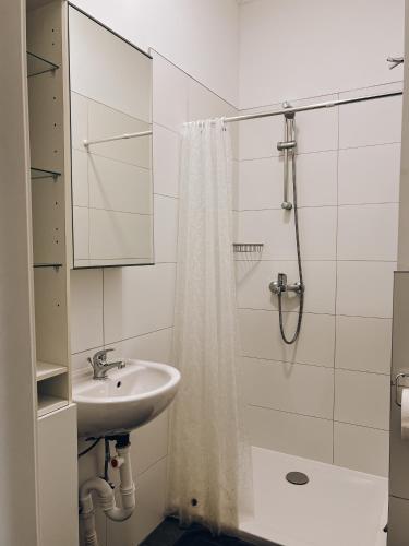 淋浴間, Ferienwohnung, Monteur-Appartment R8 (Neuwertiges Apartment mit schnellem WLAN, Netflix, Glasfaser, Kostenlose Privatparkplatz auch fur Tr) in 內卡河畔弗萊貝爾格