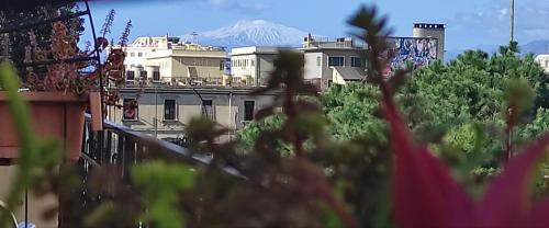 Abacus, Reggio Calabria (Foto 9)