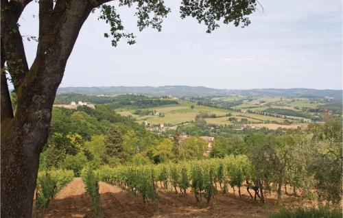 Sanlucchese 1 - image 5