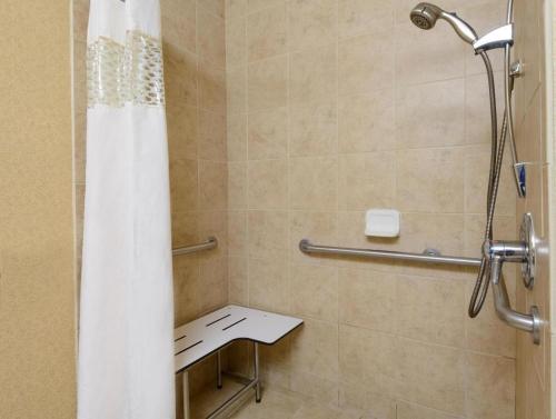 Hampton Inn Mt. Vernon - image 6