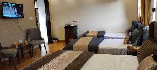 Ra Kingdom - image 8