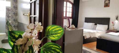 Ra Kingdom - image 3