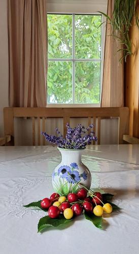 Iekārtas, Ferienhaus Radlwiesn in Sankt Margarethen Im Burgenland