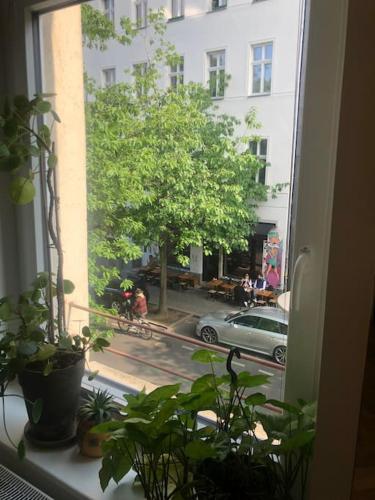 Berliner Altbaubauwohnung in Mitte, Berlin (Foto 10)