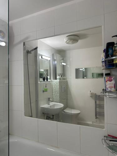 Alexandra Palace White Hart Lane Twin room, Лондон (фото 5)