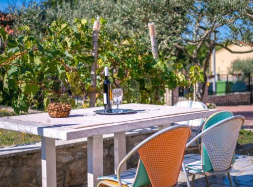 Kert, Villa SABINA - Breg Ivanovci in Rogocana