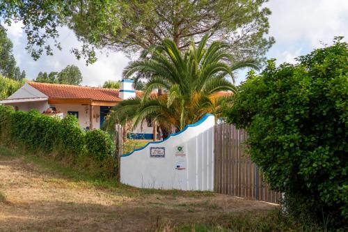 Cidrão dos Brejos (Cidrao dos Brejos) in Vale das Éguas