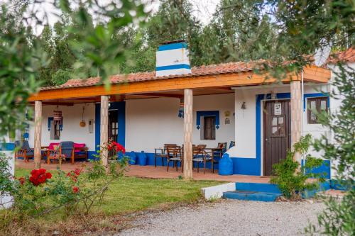 Cidrão dos Brejos (Cidrao dos Brejos) in Vale das Éguas
