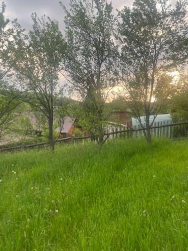 'Kanciapa 7 Światów'