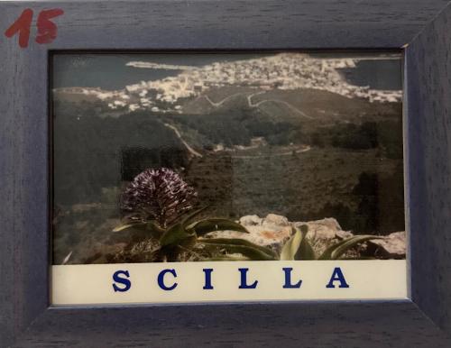 Isoladelmiele, Marettimo (foto 5)
