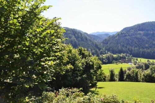 Ferienhaus für 2 Personen ca 50 m in Murau, Steiermark Oberes Murtal in Murau