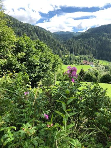 Ferienhaus für 2 Personen ca 50 m in Murau, Steiermark Oberes Murtal in Murau