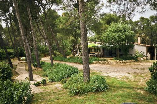 LA PLANQUE DES ALPILLES - 정원