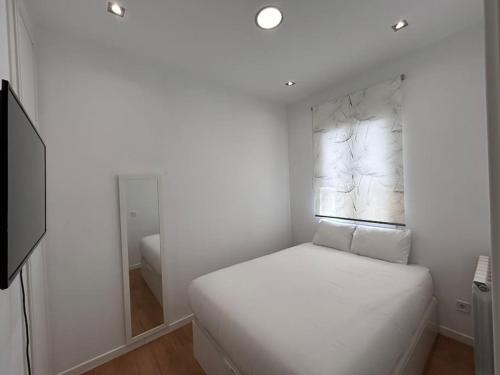 Flat in the Barrio de Las Delicias, Madrid