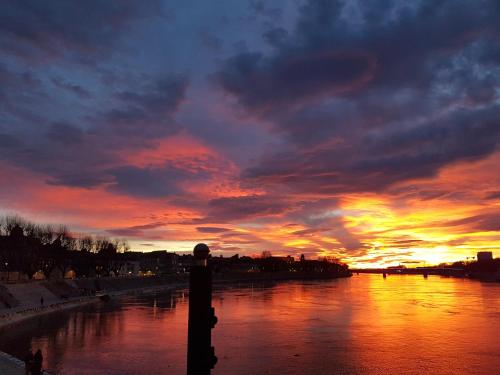 Le Cézanne Le Cézanne