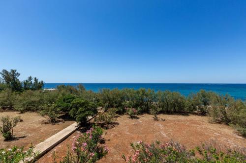 Villa Miramare - image 4