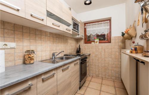 廚房, Lovely Home In Stari Laz With Wifi in 庫比紮克