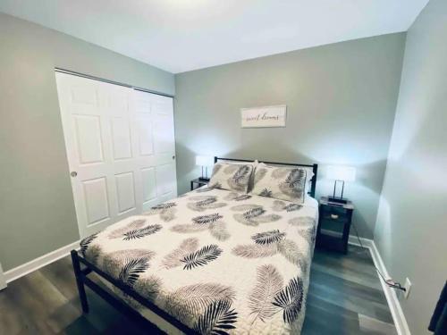 Streamwood IL Scarlet Star King Queen Bed Pet Friendly in Streamwood, USA