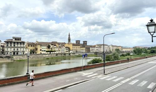 Serristori 31 - image 11