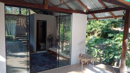 Magic Tree in La Guardia