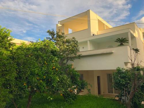 villa Maia, Palermo (photo 5)