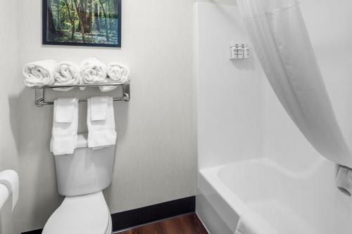 Quality Inn Near Mount Rushmore - image 6