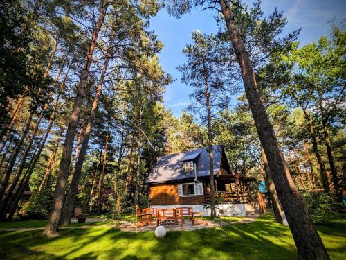 Szumiąca Sosna - Jacuzzi, Ognisko, Sauna, BBQ