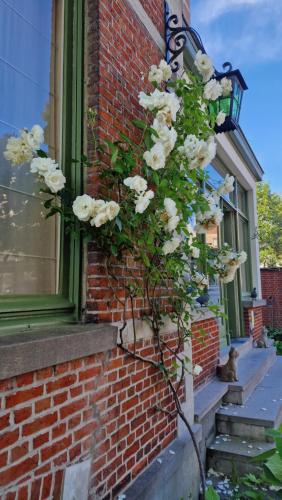 B&B Fine Fleur - main image