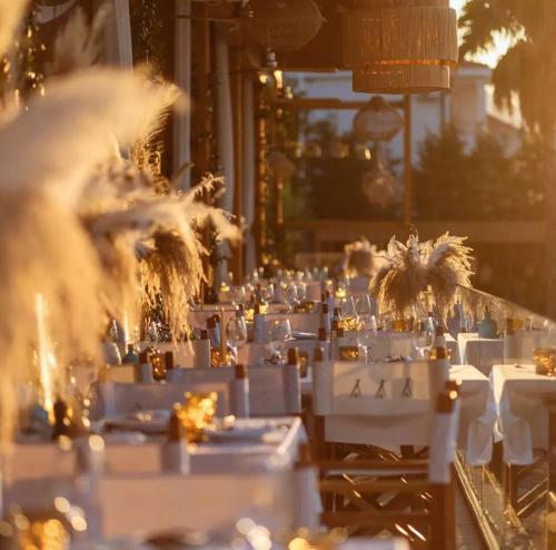 Apartments Dara in Radanovici