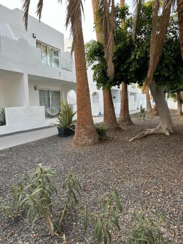 外部景觀, Las Palmeras del Sol in 塔拉加雷霍